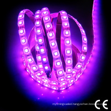 Epistar SMD5050 RGB IP67 Waterproof Flexible LED Strip Lights 220V